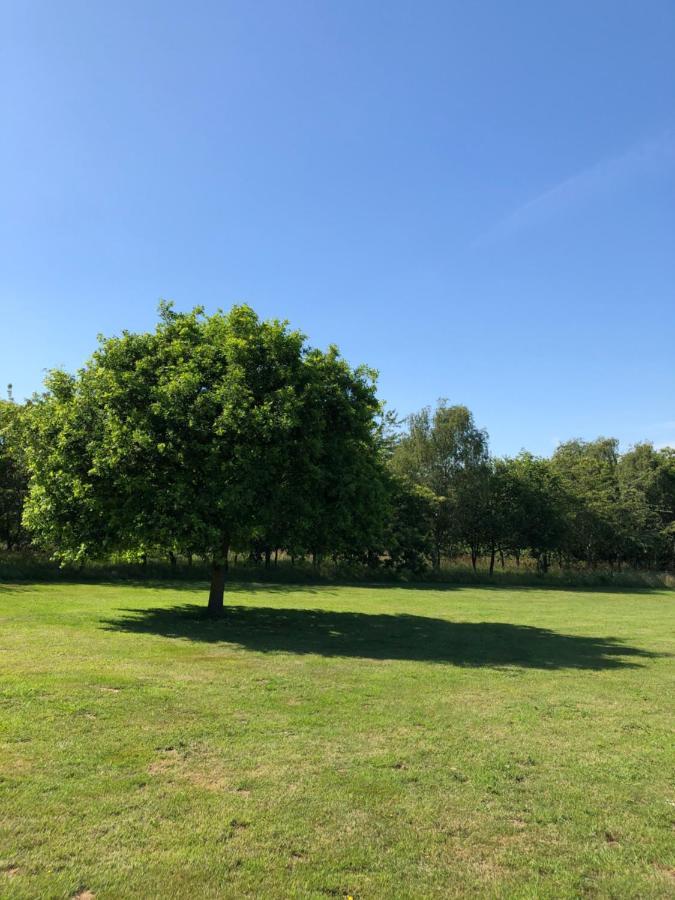 Appartamento Meadows Barn Chelmsford Esterno foto